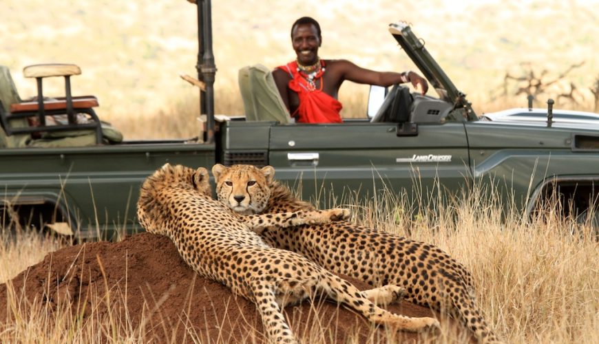 Safaris Making an Impact