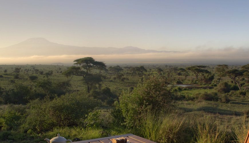 Safaris Making an Impact