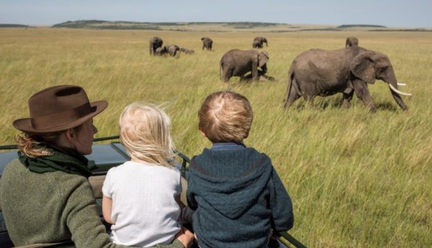 Safaris Making an Impact