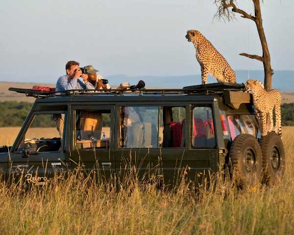 Safaris Making an Impact