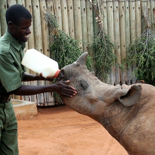 Safaris Making an Impact