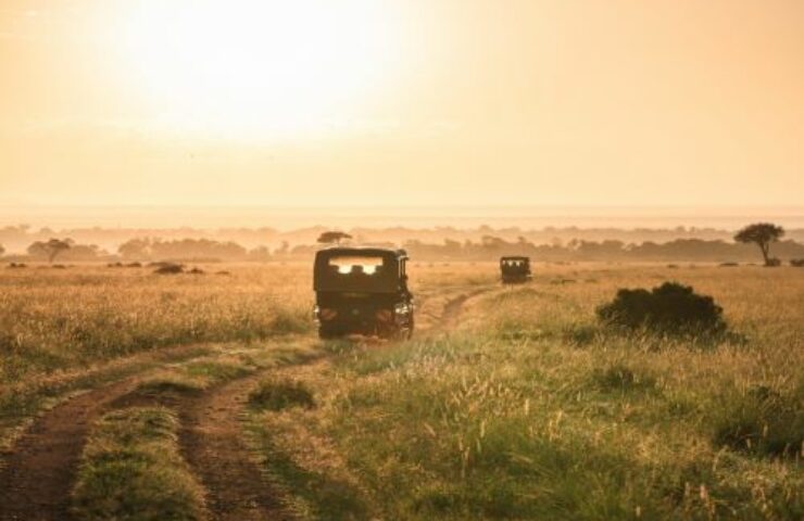 Safaris Making an Impact