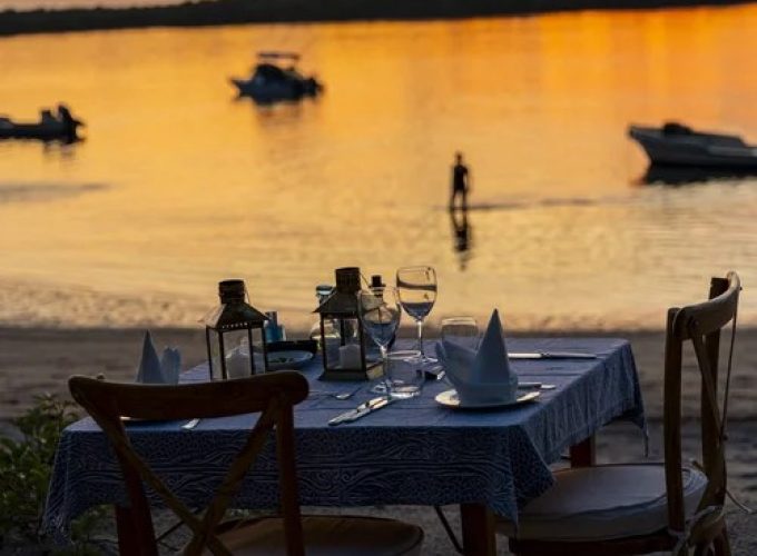 Safaris Making an Impact