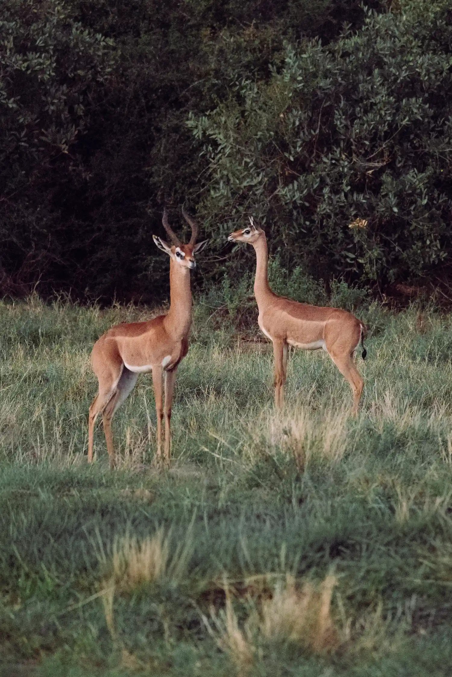 Day 3: Looking for the "Special Five"