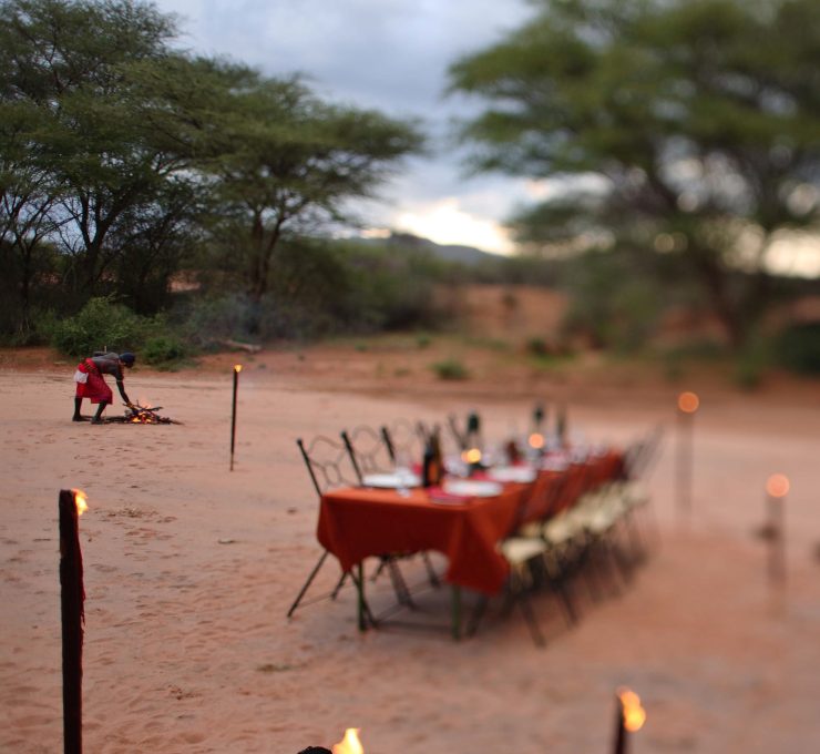 Safaris Making an Impact