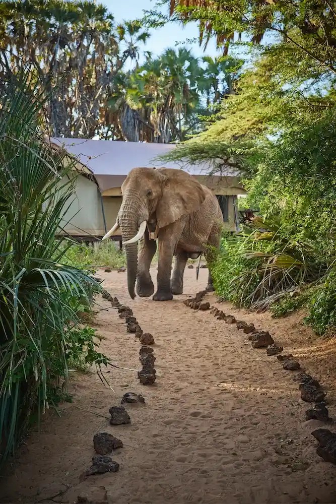 Day 2: Off on an adventure