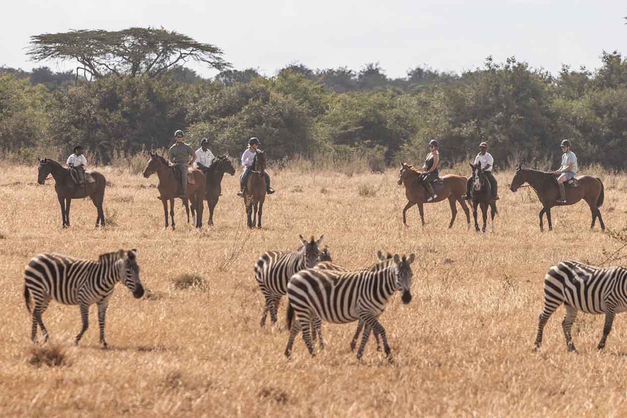 Day 6: A Plethora of Activities at Solio Lodge