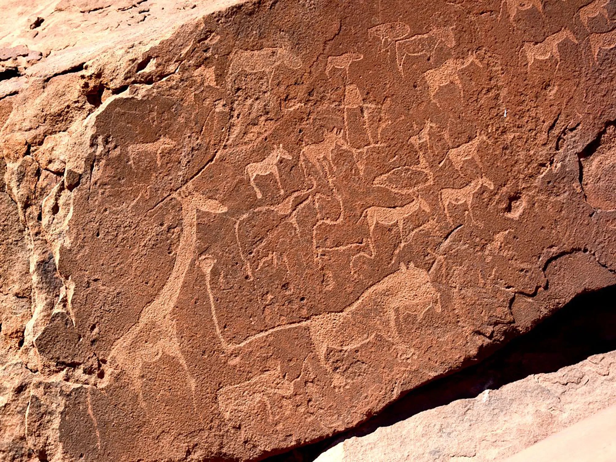 Day 7: Rock Engravings and Organ Pipes