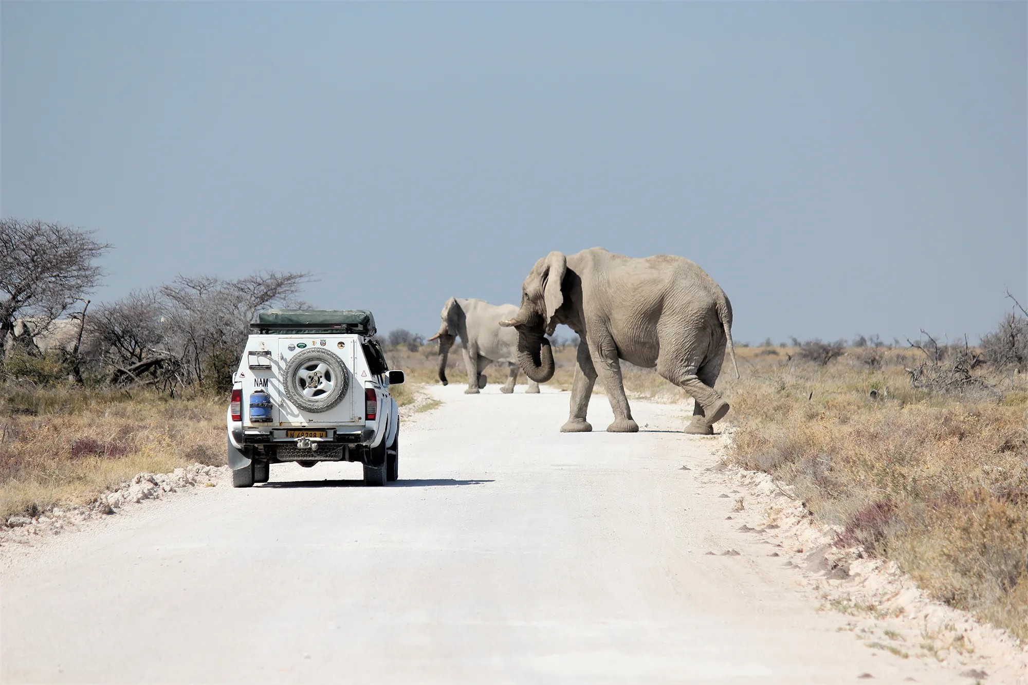 Day 8: Onto Etosha National Park