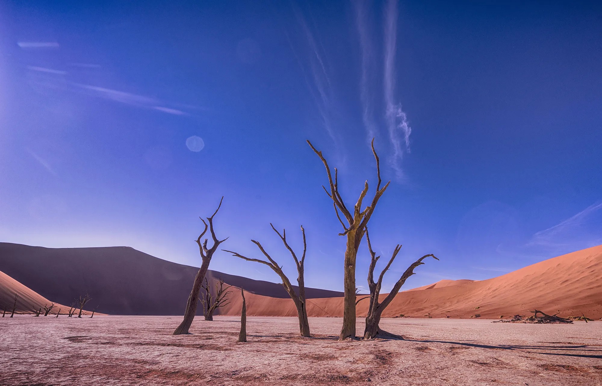 Day 2: Towering rust-red dunes, bleached white pans & endless blue skies