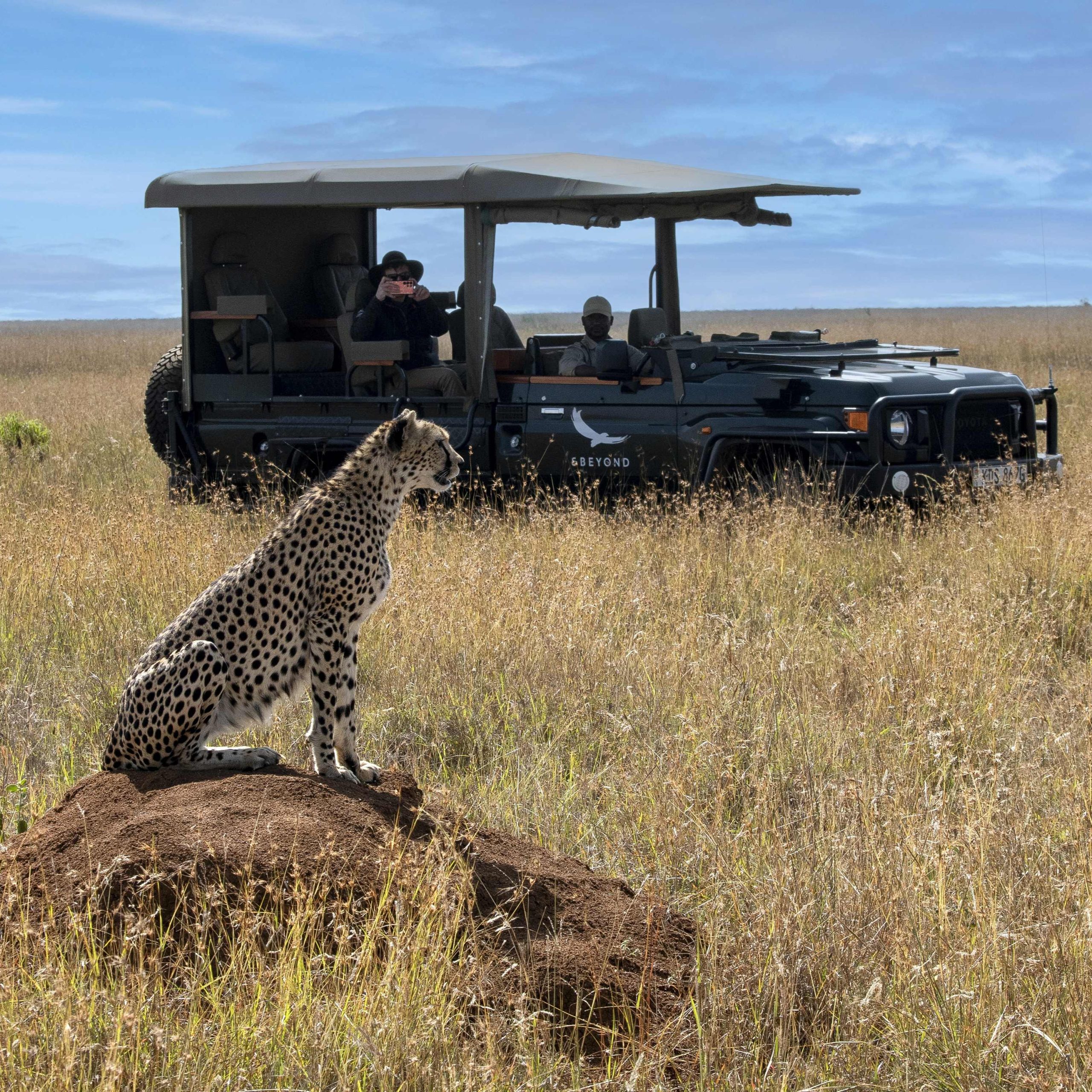 Days 3 & 4: Spending Time in the Wild