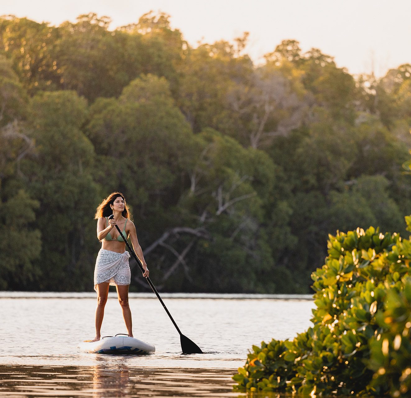 Days 9, 10 & 11: Explore nature's background