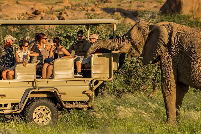 Day 10: Vast khakhi plains, sheer rocky mountains and incredible desert-adapted wildlife