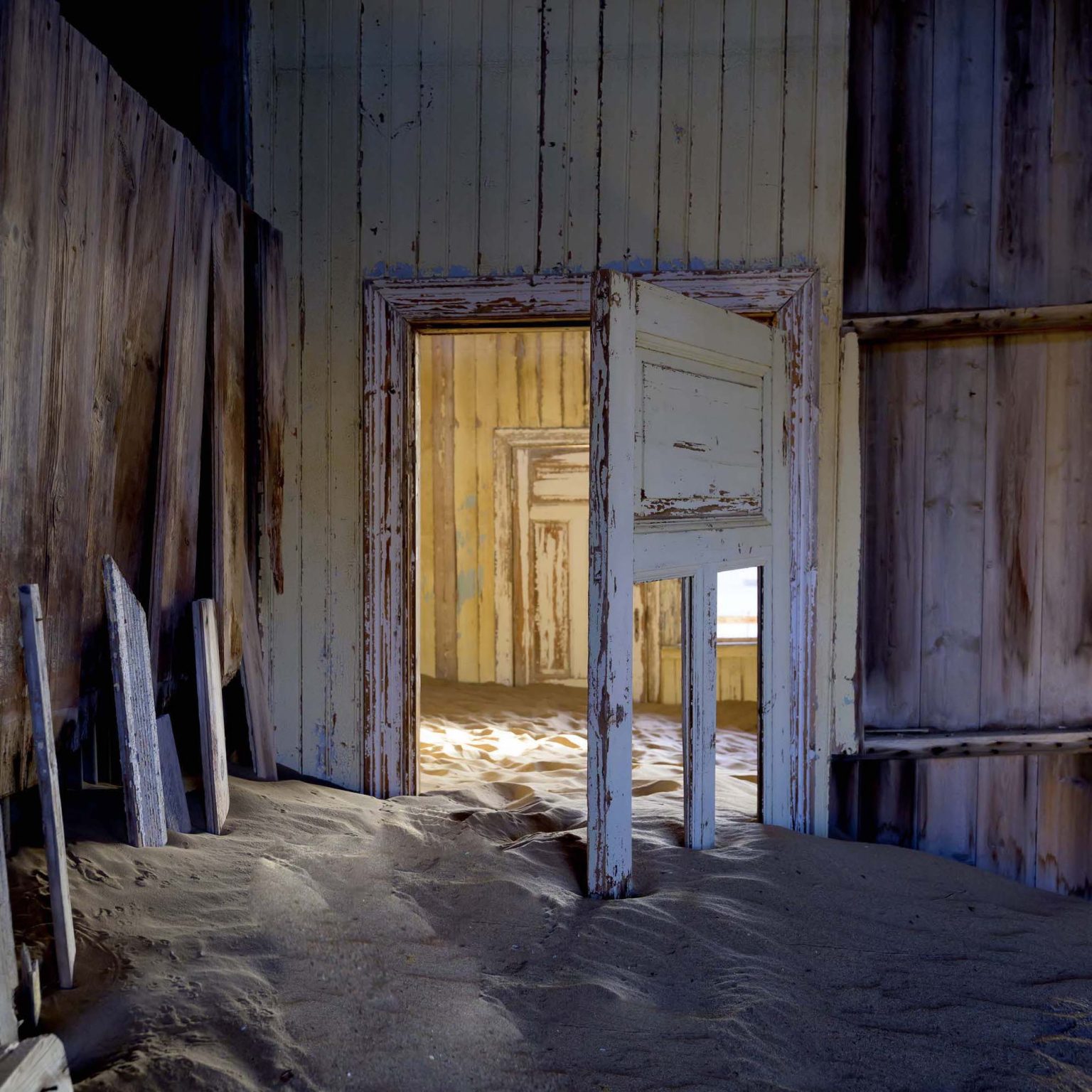 Day 5: Of oysters and penguins